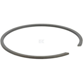 Bague à ressort ZF 0630513077