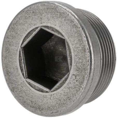 Bouchon fileté ZF 0636302018