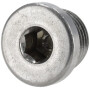Bouchon fileté ZF 0636302014