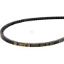 Courroie BAUER 0627339