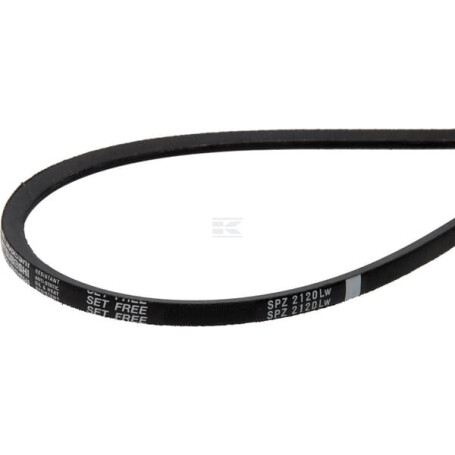 Courroie BAUER 0627349