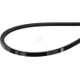 Courroie BAUER 0627349