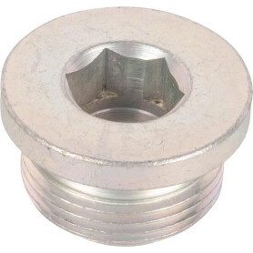 Bouchon SPICER DANA 065050N