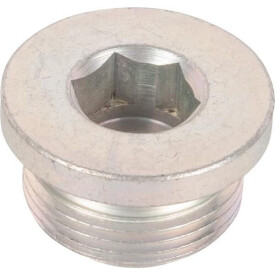 Enchufe 065050N SPICER DANA 065050N