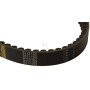 Courroie OPTIBELT 0619190AB