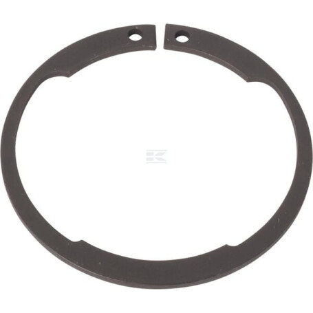 Circlip ZF 0630531346