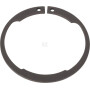 Circlip ZF 0630531346