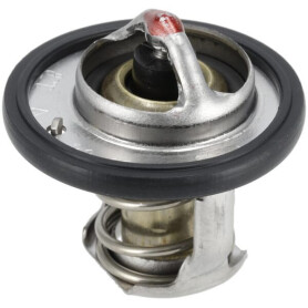 Thermostat WEIDEMANN 1000264896