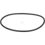 Joint de thermostat WEIDEMANN 1000182321