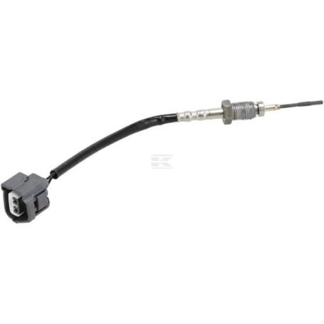 Capteur WEIDEMANN 1000308381