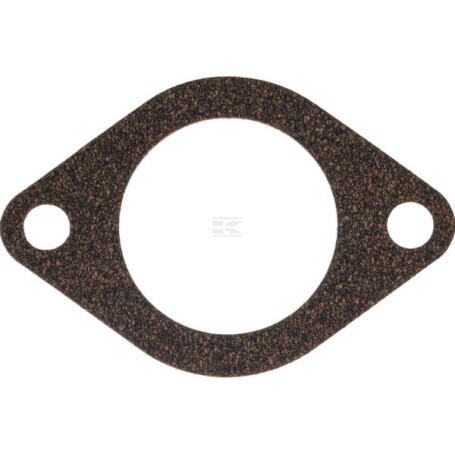 Thermostat WEIDEMANN 1000200054
