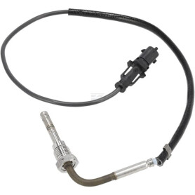 Capteur WEIDEMANN 1000310735
