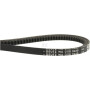 Courroie WEIDEMANN 1000294955