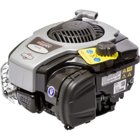 Moteur BRIGGS & STRATTON 093J020095H5