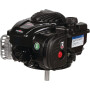 Moteur BRIGGS & STRATTON 09P8020004H5