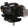Moteur BRIGGS & STRATTON 09P8020004H5