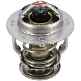 Thermostat WEIDEMANN 1000115256