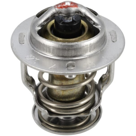 Thermostat WEIDEMANN 1000115256