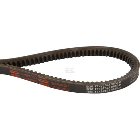 Courroie de traction MASCHIO 06010025