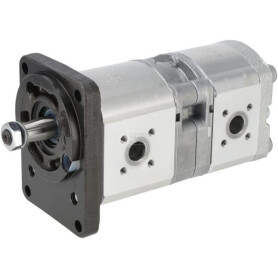 Pompe à engrenages BOSCH REXROTH 0510665020