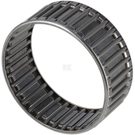 Cage à aiguilles ZF 0750115080