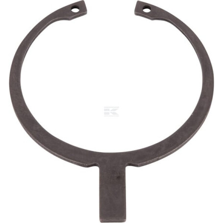 Bague de sécurité ZF 0730502079