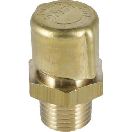 Reniflard ZF 0732612001