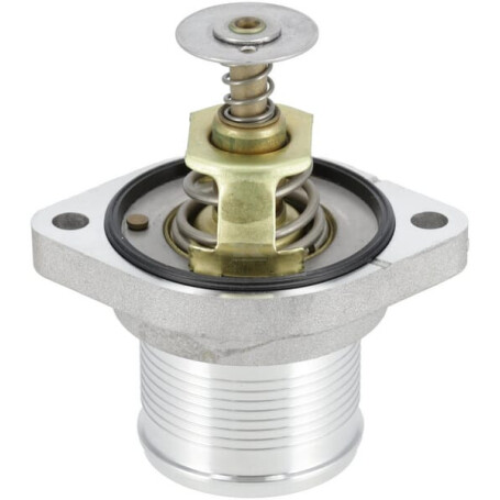 Thermostat WEIDEMANN 1000448292