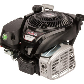 Moteur BRIGGS & STRATTON 1008020116H5