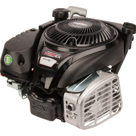 Moteur BRIGGS & STRATTON 1008020116H5