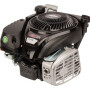 Moteur BRIGGS & STRATTON 1008020116H5