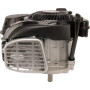 Moteur BRIGGS & STRATTON 1008020116H5