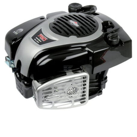 Moteur BRIGGS & STRATTON 1006020151H5