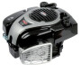 Moteur BRIGGS & STRATTON 1006020151H5