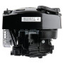 Moteur BRIGGS & STRATTON 1006020151H5