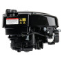 Moteur BRIGGS & STRATTON 1006020151H5