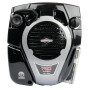 Moteur BRIGGS & STRATTON 1006020151H5