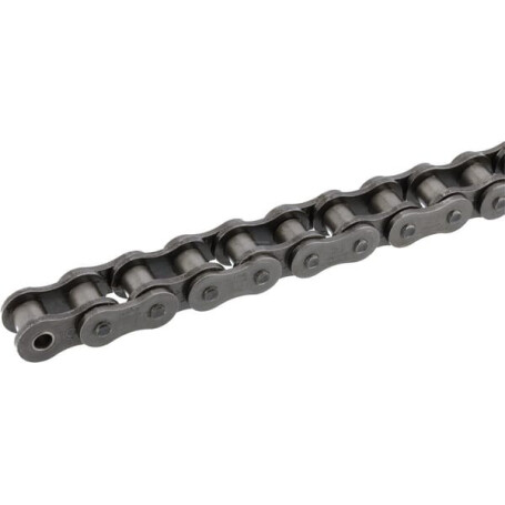 Chaîne à rouleaux REXNORD 100HS1