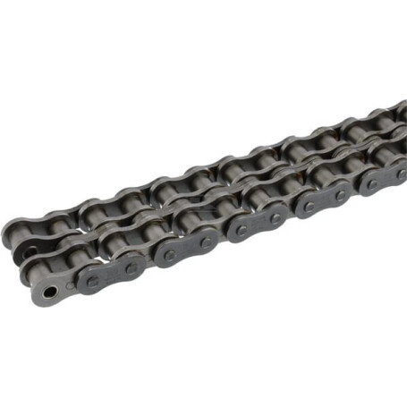 Chaîne à rouleaux duplex REXNORD 100HS2