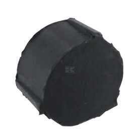 Disque BPW 1030978534