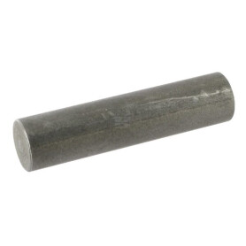 Pivot BPW 1030650004