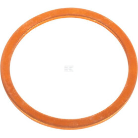 Rondelle CNH 10265060