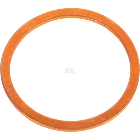 Rondelle CNH 10265060