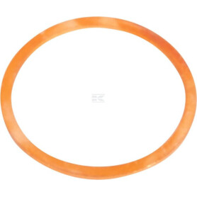 Rondelle CNH 10265160