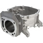 Corps de vilebrequin LONCIN 1108101670001