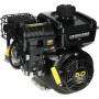 Moteur BRIGGS & STRATTON 10V3320007F1