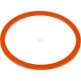 Bague de sout SEALTECH 10MBK7580