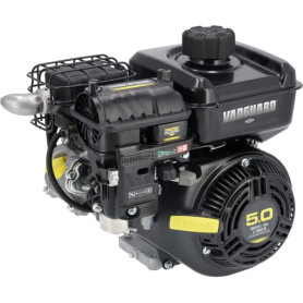 Moteur BRIGGS & STRATTON 10V3320001F1