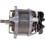 Moteur électrique MTD 1116000VR
