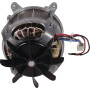 Moteur électrique MTD 1116000VR